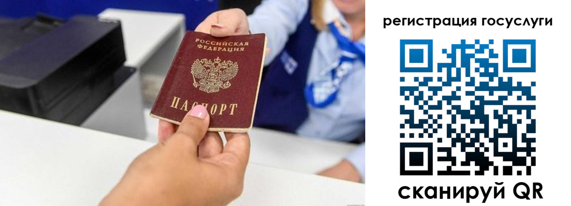 временная регистрация для всех в Амурской области
